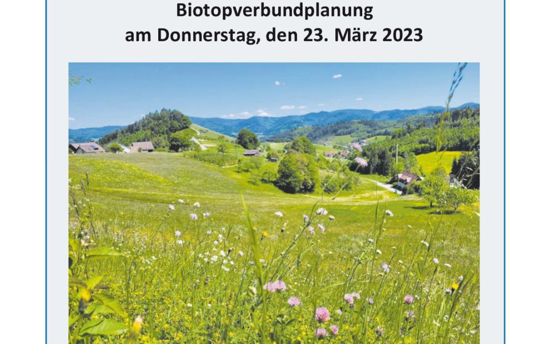 Amtsblatt 2023 KW 11